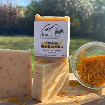 Caméline, fleur de calendula